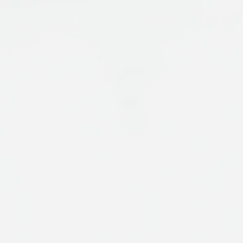 Bostwick Shoals Bedroom Mirror